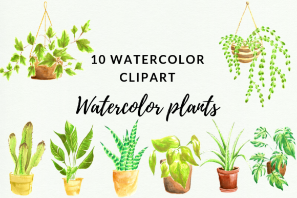 10 Indoor Plants Watercolor Clipart and Illustrations