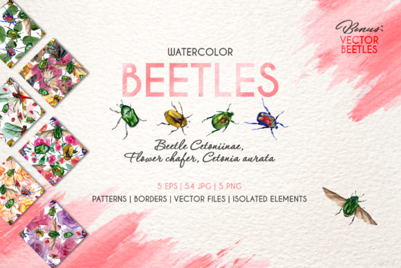 Beetle Cetoniinae, Flower Watercolor Illustrations