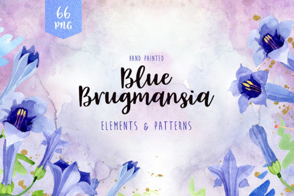 Blue Brugmansia Flower Watercolor Illustrations