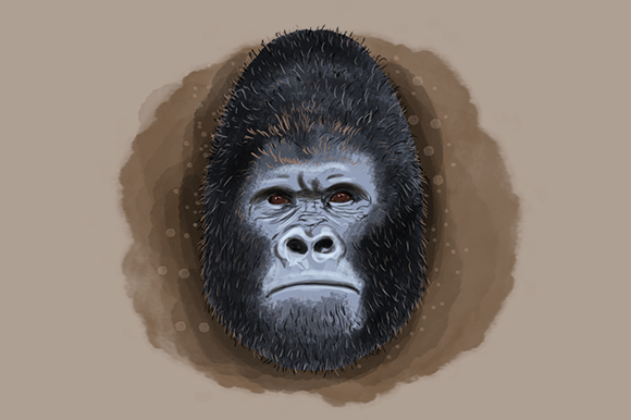 Gorilla Watercolor Illustration