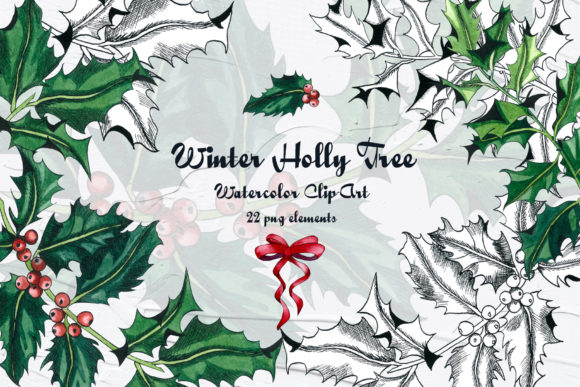 Holly Tree Watercolor Clip Art and Illustrations
