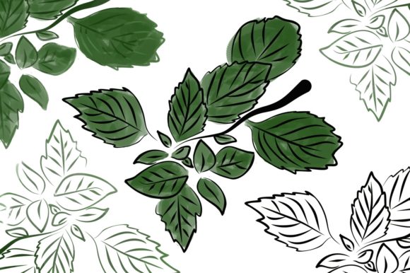 Mint Watercolor Branch Illustrations