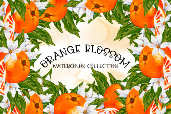 Orange Blossom-Watercolor Collection and Illustrations