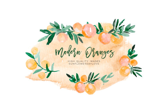Orange Citrus Watercolor Clipart and Illustrations