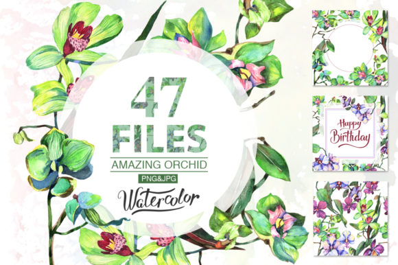Orchid Green Flowers Watercolor Set Illustrations