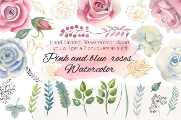 Pink and Blue Roses. Watercolor Clipart