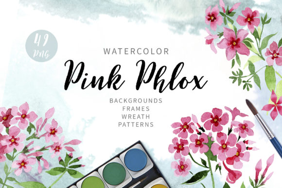 Pink Phlox Flower Watercolor Illustrations