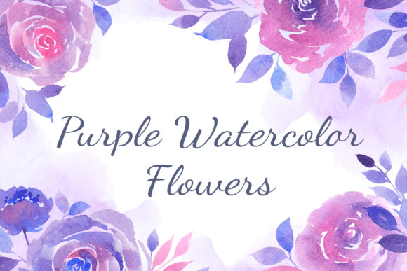 Set of Watercolor Purple Roses and Illustrations