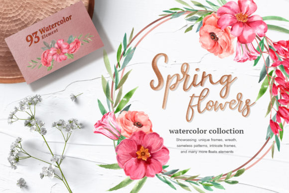 Spring Blossoms Watercolor Set and Illustrations