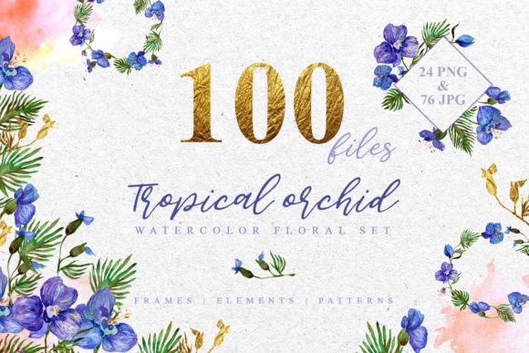 Tropical Orchid Watercolor Illustrations