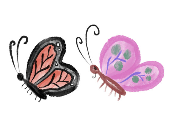 Watercolor Butterfly Illustrations