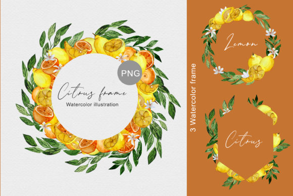 Watercolor Citrus Illustrations Set