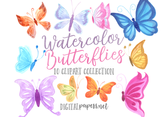 Watercolor Colorful Butterflies Illustrations