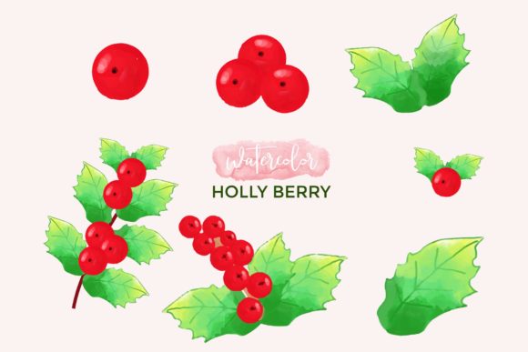 Watercolor Holly Berry Leaves Illustrations