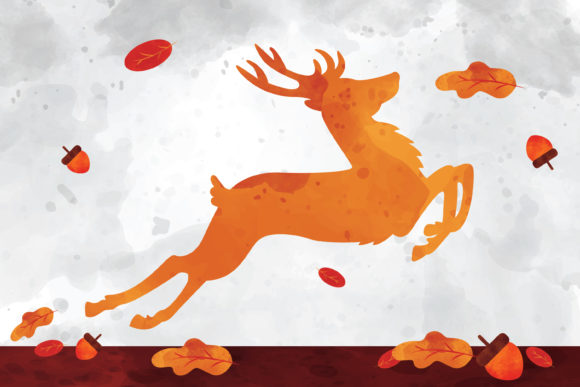 Watercolor Illustration Deer and Illustrations
