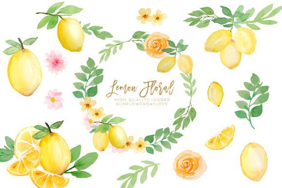 Watercolor Lemon Citrus Fruit Clipart and Illustrations