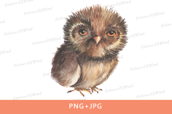 Watercolor Owl Sub Transfer Design and Illustrations