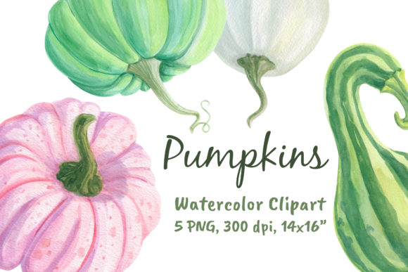 Watercolor Pumpkins Clipart Png and Illustrations