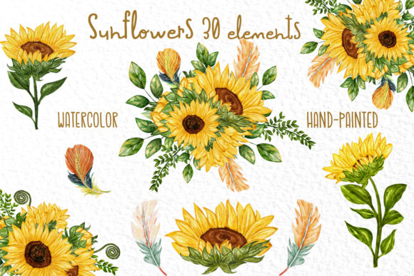 Watercolor Sunflower Clipart Sunflowers