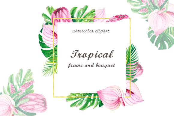 Watercolor Tropical Frame Clipart and Illustrations