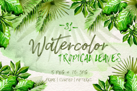 Watercolor Tropical Leaves Set for Illustrations