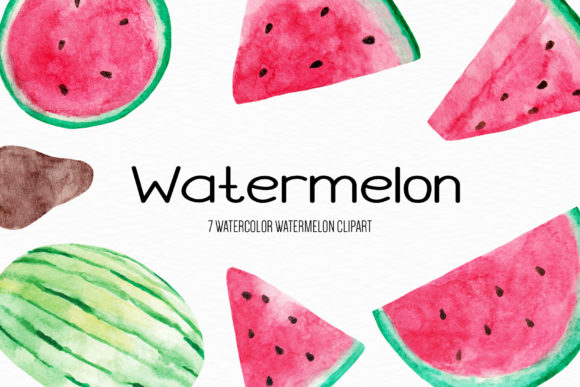Watercolor Watermelon Illustration