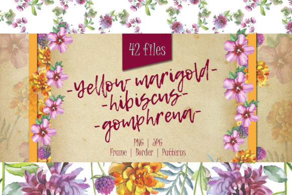 Wildflower Watercolor Set for Illustrations